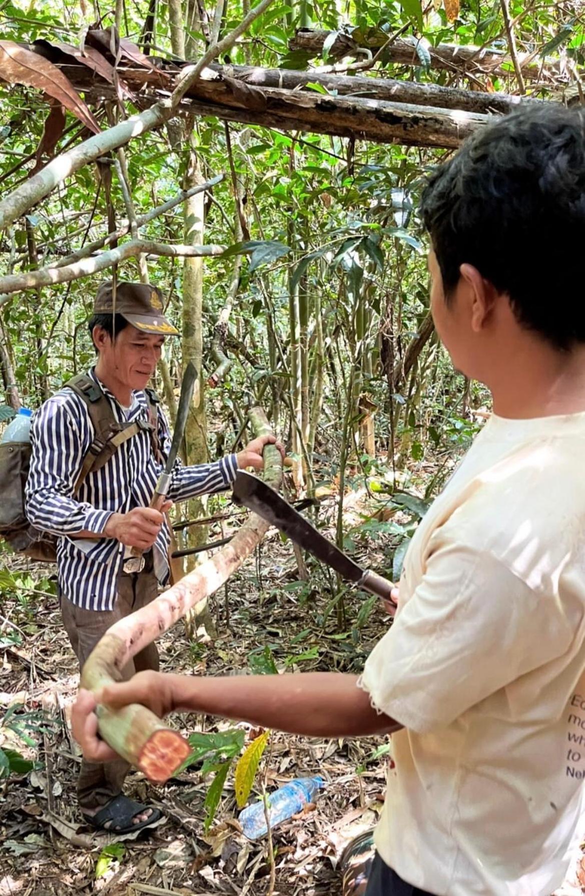 Ratanakiri Farmhouse & Trekking Banlung Exteriér fotografie