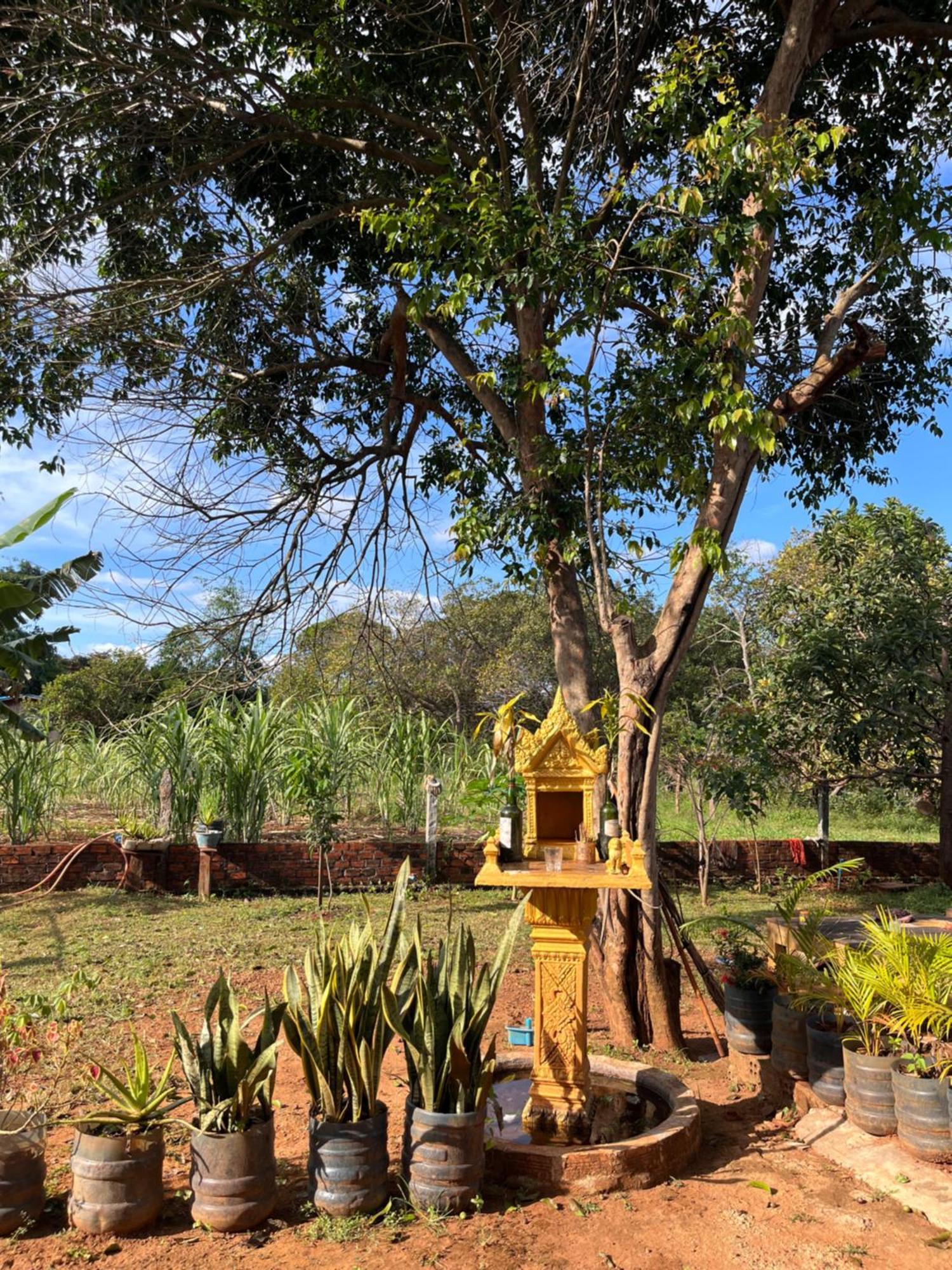 Ratanakiri Farmhouse & Trekking Banlung Exteriér fotografie